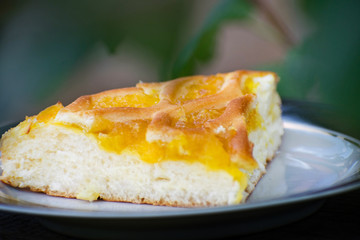Delicious cake with apricot jam on a plate. Crostata with marmalade or peach jam filling. Homemadepie dessert with dandelion jam.
