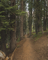 Natural Bridge MT