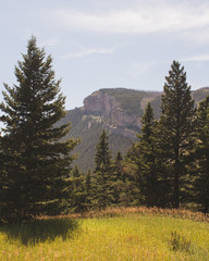 Natural Bridge MT