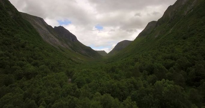 4k Drone footage slow over jungel forest souraunded by steep moutains. Skorgedalen sunnmore orsta Norway.