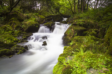 Landschaften in Wales