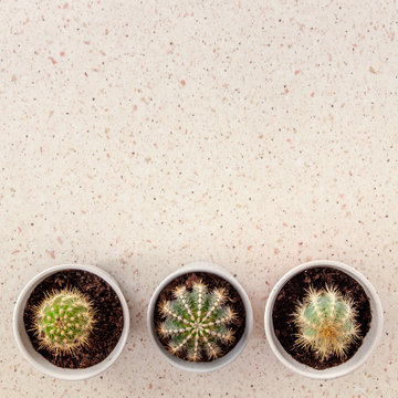 Square copy space desk with terrazzo pattern with three cactuses from the top