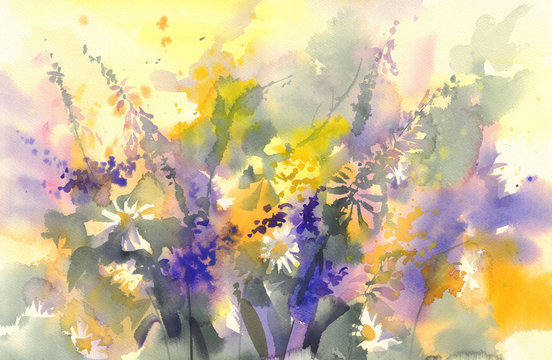 sunny meadow yellow and violet flowers watercolor background