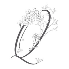 Vector Hand Drawn floral Q monogram and logo