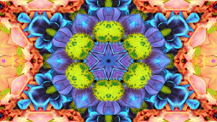 Flowers Flora Kaleidoscope