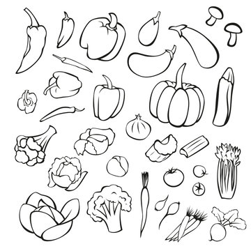 vector set of vegetables