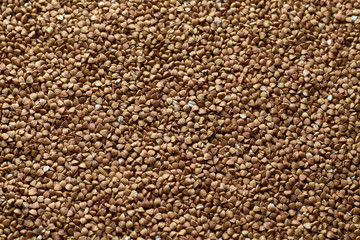 background of buckwheat