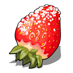 Ripe red berry strawberries sprinkled with sugar. Element of a healthy diet. Delicious and healthy orchard fruits and berries isolated on a white background. Vector cartoon close-up illustration.
