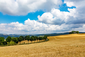 Landscape at the Schwartenberg in the Erzgebirge