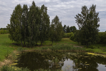 Fototapeta na wymiar Summer landscape shore pond