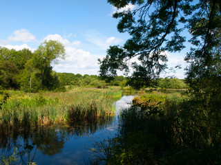 Rainton Wetland Nature Reserve