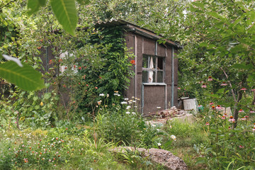Fototapeta na wymiar Ruins of old abandoned garden house - vintage green look in countryside.