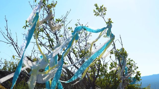 On the branches of the bush that grows in the mountains, the white yellow and blue ribbons are tied.