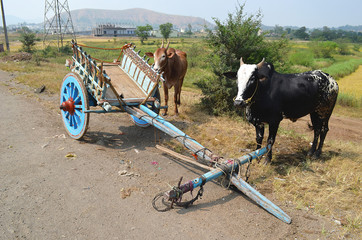Bullock cart parked by the roadside in an indian village © VJP