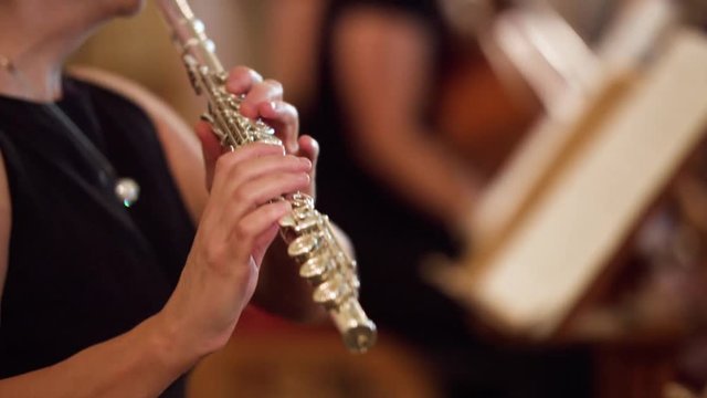 Quintet Images – Browse 362 Stock Photos, Vectors, and Video | Adobe Stock