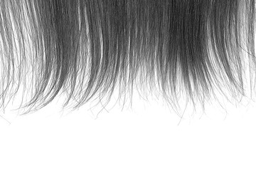 Tips of black hair on white background