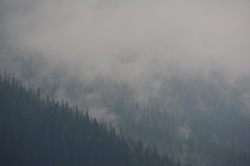 Norwegen Rauland Berge im Nebel