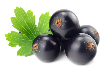 black currant with green leaf isolated on white background. macro