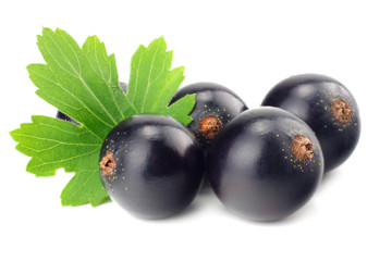 black currant with green leaf isolated on white background. macro