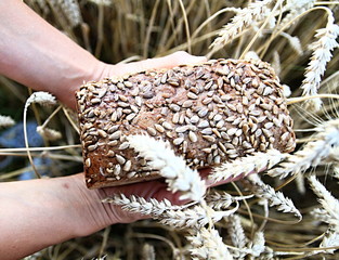 fresh loaf of bread ready to be eaten