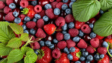 Berries closeup colorful assorted mix.