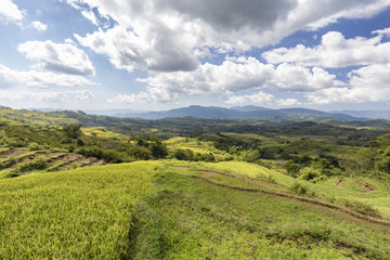Fototapeta na wymiar View of the valley which contains the Golo Cador Rice Terraces in Ruteng on Flores, Indonesia.