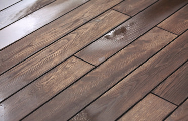 texture of a wet tree