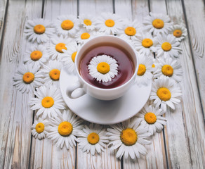 Cup of chamomile tea with fresh daisies and saucer. White fresh flowers on a light gray vintage wooden background. The concept of a sedative.