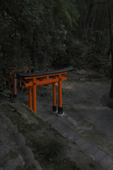 Fototapeta na wymiar Torii japones en paisaje