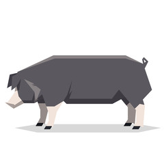 Flat geometric Poland China pig
