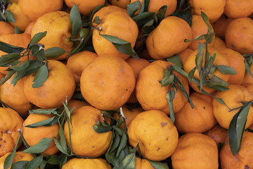 textura de mexiricas