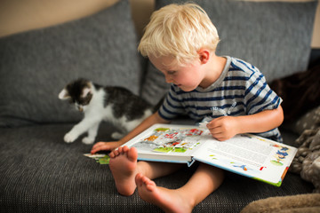 der Katze vorlesen