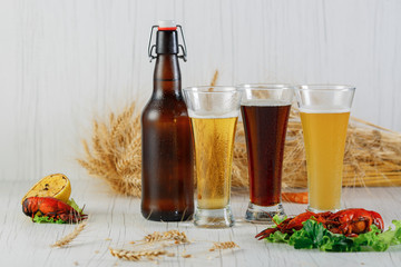 Three glass beers of beer and a bottle of dark beer with barley on a white background, boiled crayfish on a table