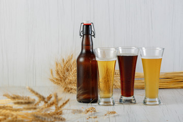 Three glass beers of beer and a bottle of dark beer with barley on white background