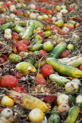 Weggeworfenes Obst und Gemüse