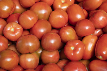 Tomate