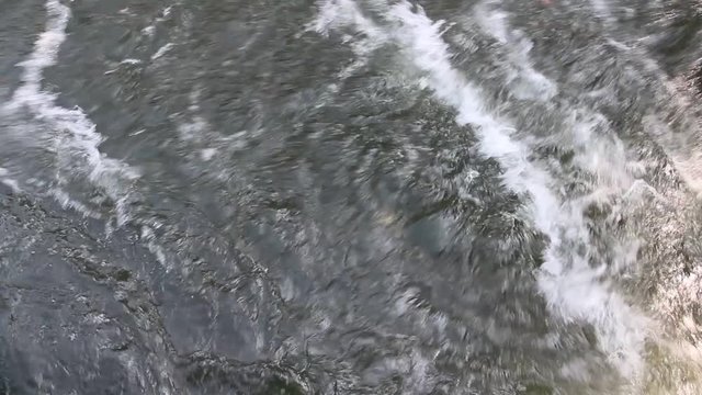 agitated river water