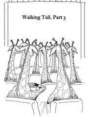 Walking tall giraffes