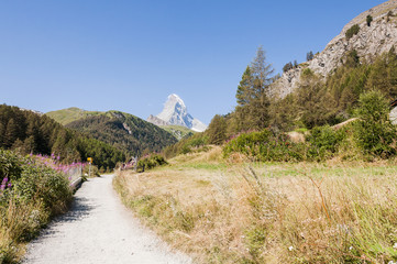 Zermatt, Zmutt, Furi, Wanderweg, Zmuttbach, Gletschergarten, Matterhorn, Alpen, Wallis, Walliser...