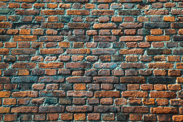 brick wall in bright sun, toned background