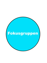 fokusgruppen