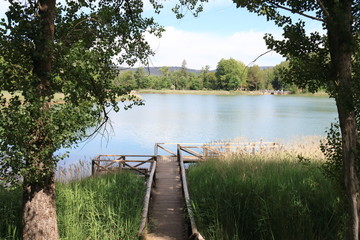 Fototapete bei efototapeten.de bestellen   