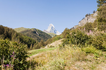 Zermatt, Furi, Matterhorn, Zmutt, Wanderweg, Zmuttbach, Bergwiesen, Bergbauer, Trockenheit, Wallis, Alpen, Sommer, Schweiz