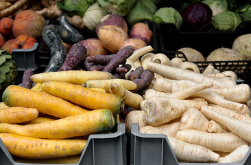 Different kinds of carrot and parsnip in at market.