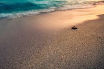 A blurry wave on the beach