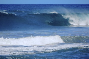 Hawai'ian Wave