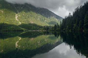 Foggy green mountain forrest and hills with a reflection on the lake, morskie Oko in High Tatras, Zakopane, Poland © WellStock