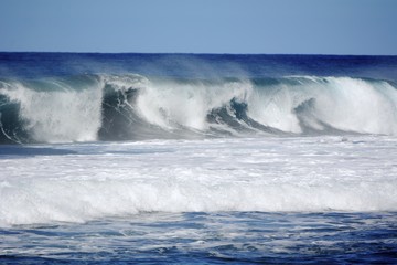 Hawai'ian Beach Wave