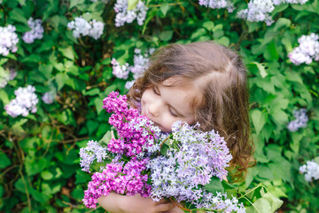 Fototapeta premium happy girl holding a bouquet of lilac. happy mother's Day! girl congratulates her mother, gives a bouquet of lilac flowers. 
