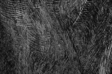 Wood texture with sawtooth traces closeup for background. Black and white.